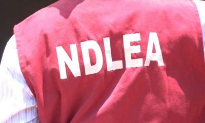 NDLEA Nabs Over 100 Drug Traffickers In Kaduna